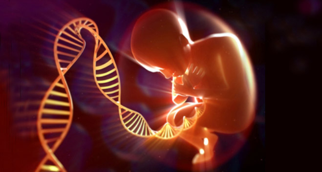 As manipulações genéticas perigosas ou acidentais que podem mudar o futuro da humanidade