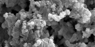 Bactérias que “comem” eletricidade podem bloquear o CO2