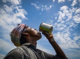 Aquecimento global já é responsável por uma em cada três mortes relacionadas ao calor