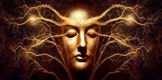 Os sonhos refletem várias memórias e antecipam eventos futuros