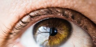 O tamanho da pupila está surpreendentemente ligado às diferenças de inteligência