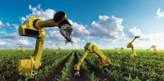 Primeira fazenda inteligente totalmente automatizada da Austrália usará apenas robôs para trabalho de campo