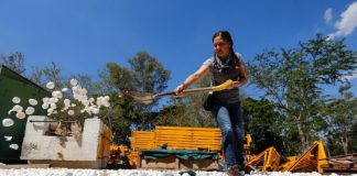 No México as pessoas estão usando casca de ovo para despoluir um rio tóxico
