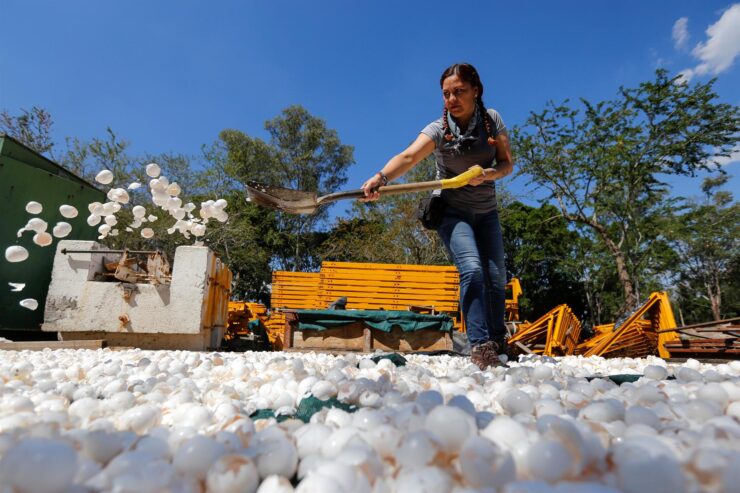 No México as pessoas estão usando casca de ovo para despoluir um rio tóxico