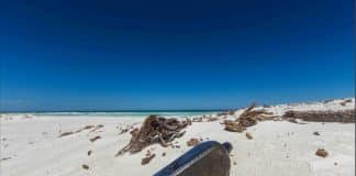 A mais antiga ‘mensagem na garrafa’ confirmada continha algumas perguntas fascinantes