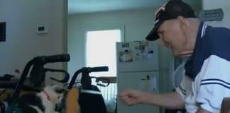 Idoso cai no chuveiro e fica 16 horas no chão até que gato adotado salva sua vida