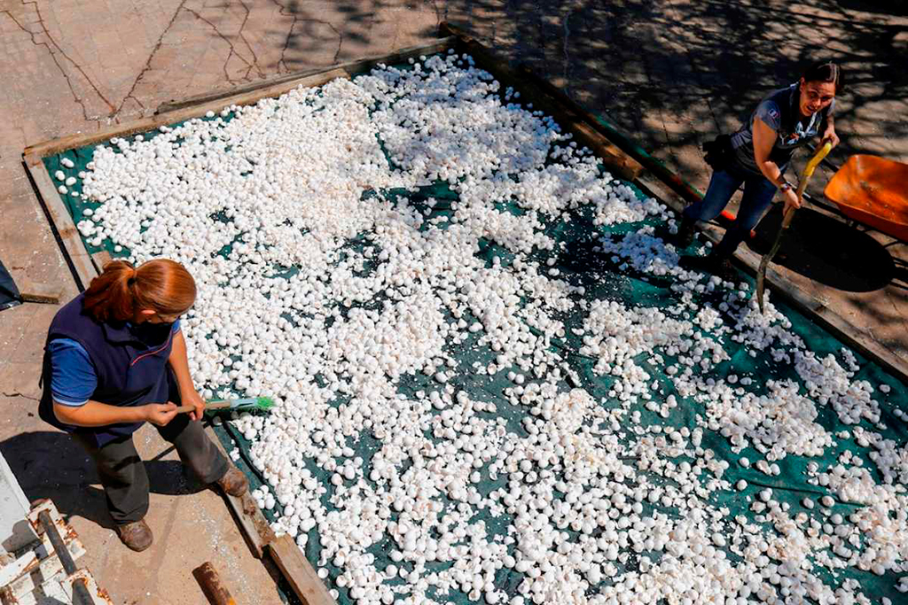 pensarcontemporaneo.com - No México as pessoas estão usando casca de ovo para despoluir um rio tóxico