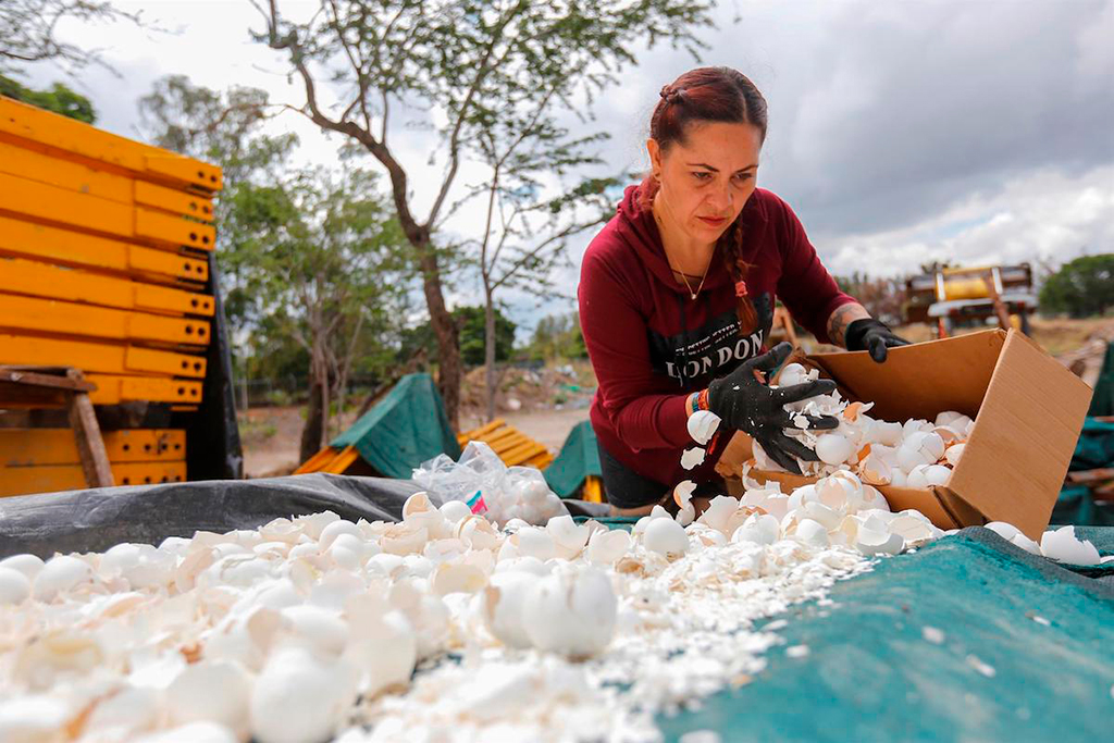 pensarcontemporaneo.com - No México as pessoas estão usando casca de ovo para despoluir um rio tóxico