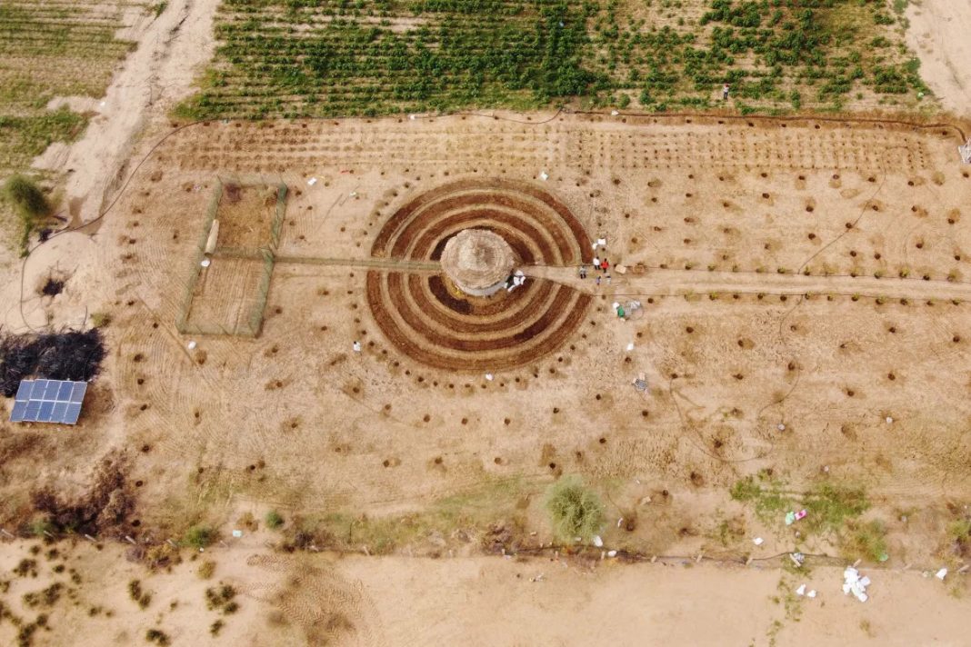 Os jardins circulares do Senegal que retêm o deserto do Saara e tornam as aldeias autossuficientes