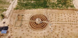 Os jardins circulares do Senegal que retêm o deserto do Saara e tornam as aldeias autossuficientes