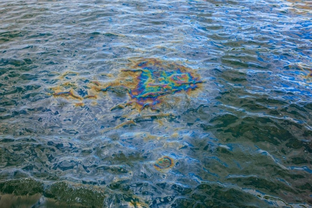Bactérias capazes de “biodegradar” diesel e óleo derramado no mar foram descobertas no Ártico canadense