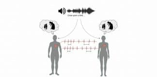 As batidas do coração das pessoas se sincronizam quando são cativadas pela mesma história