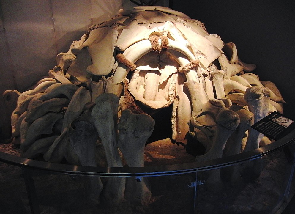 pensarcontemporaneo.com - Moradias de osso mamute perfeitamente preservadas encontradas na Ucrânia podem ser os primeiros exemplos de arquitetura