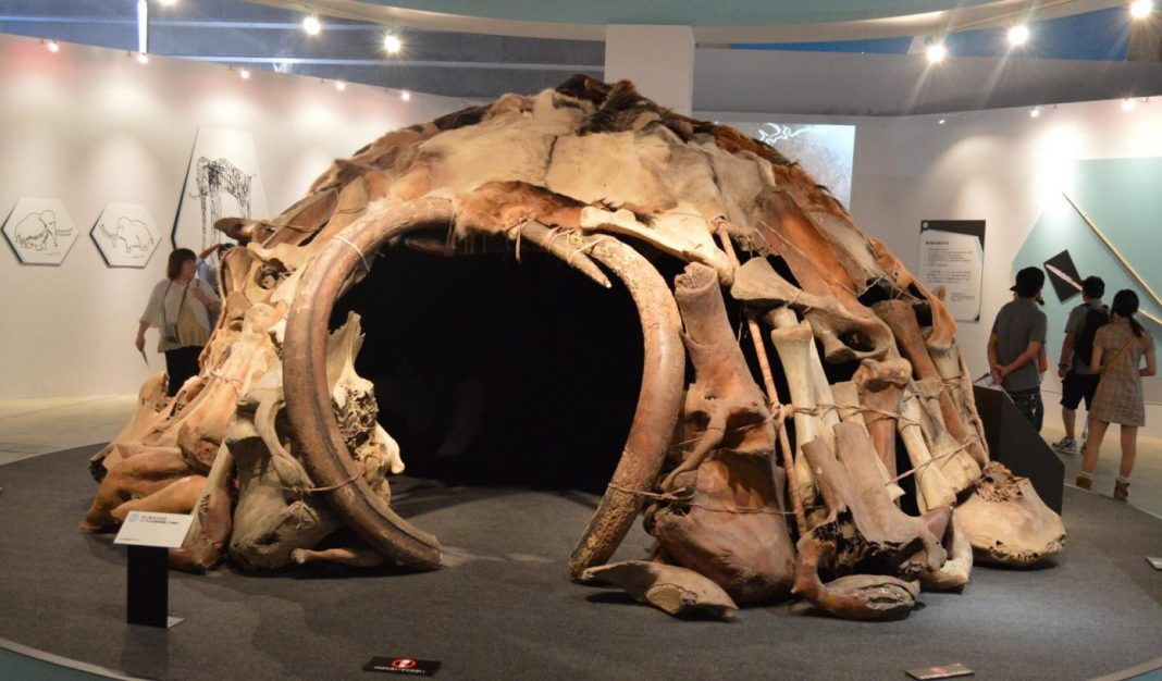 Moradias de osso mamute perfeitamente preservadas encontradas na Ucrânia podem ser os primeiros exemplos de arquitetura