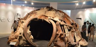 Moradias de osso mamute perfeitamente preservadas encontradas na Ucrânia podem ser os primeiros exemplos de arquitetura
