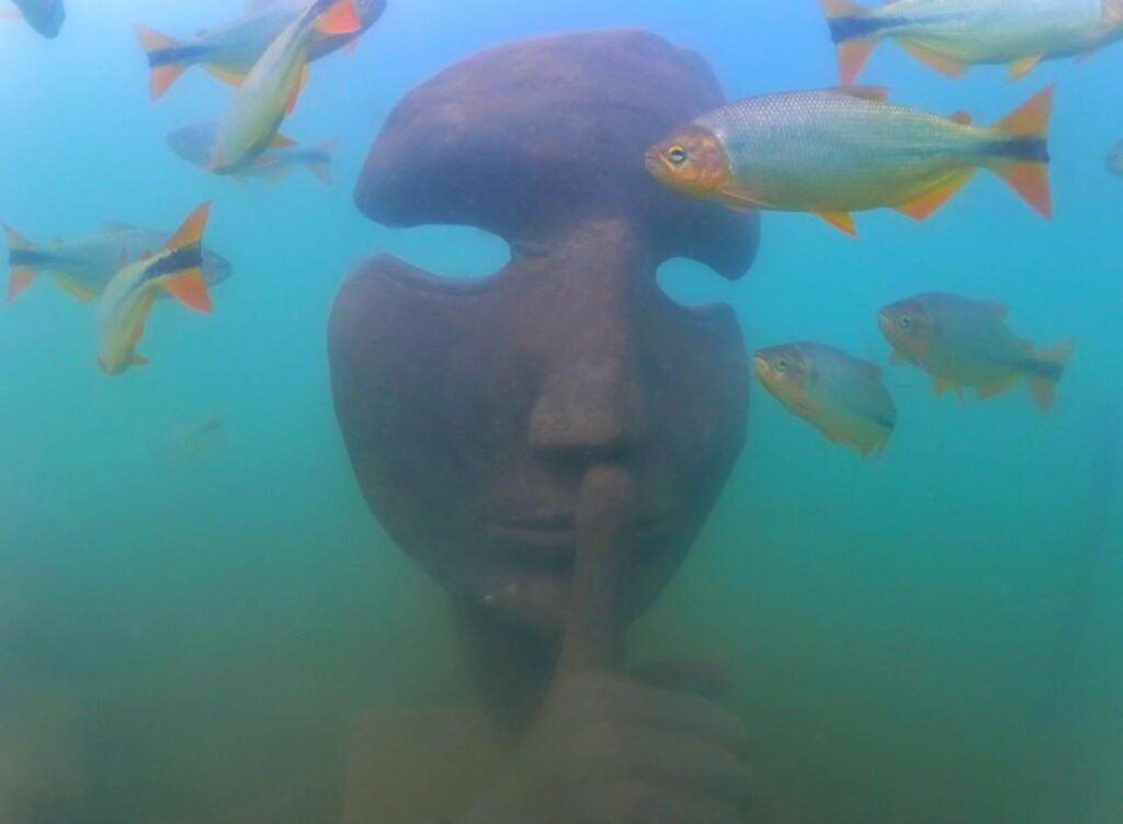 pensarcontemporaneo.com - Bonito, em MS, ganha o primeiro museu subaquático de água doce do mundo