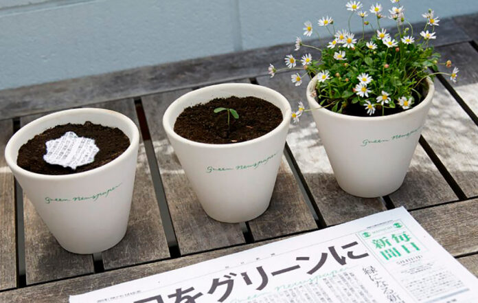 pensarcontemporaneo.com - Este jornal japonês com sementes embutidas brota flores quando plantado