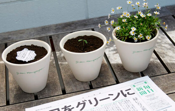 Este jornal japonês com sementes embutidas brota flores quando plantado