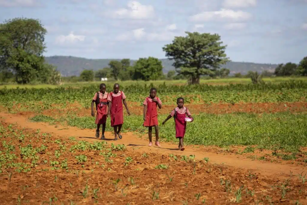 pensarcontemporaneo.com - Os impactos das mudanças climáticas colocam quase todas as crianças em risco