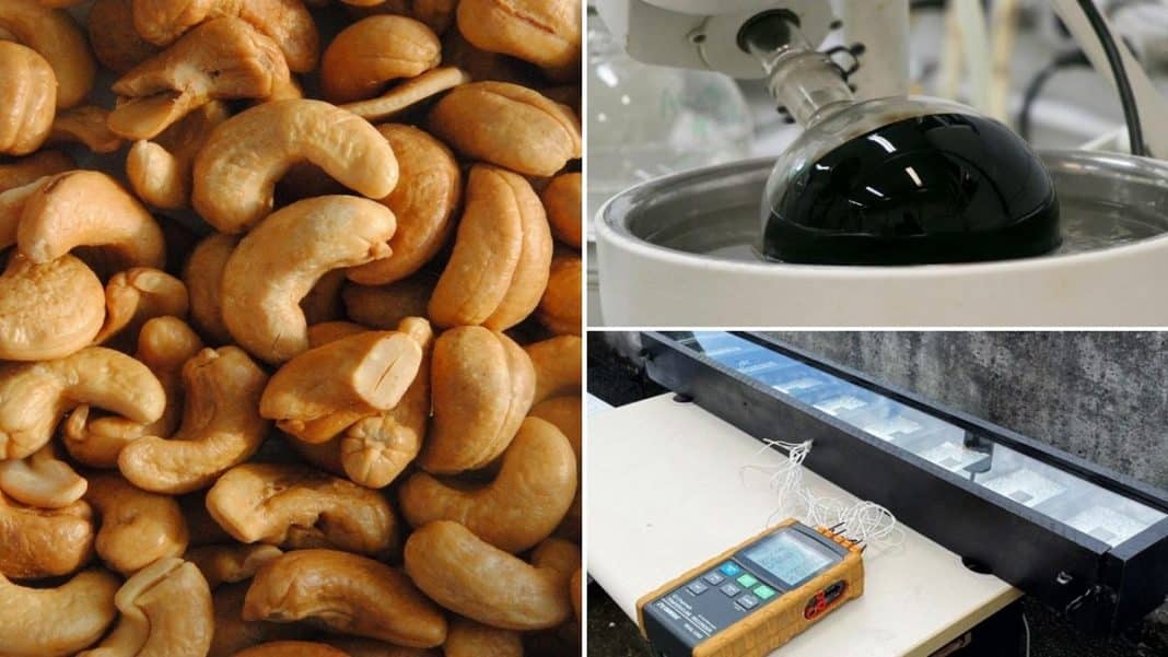 No Ceará, casca da castanha pode ser usada para fabricar placas solares