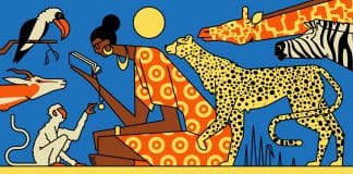 5 escritoras da África Lusófona para você ler