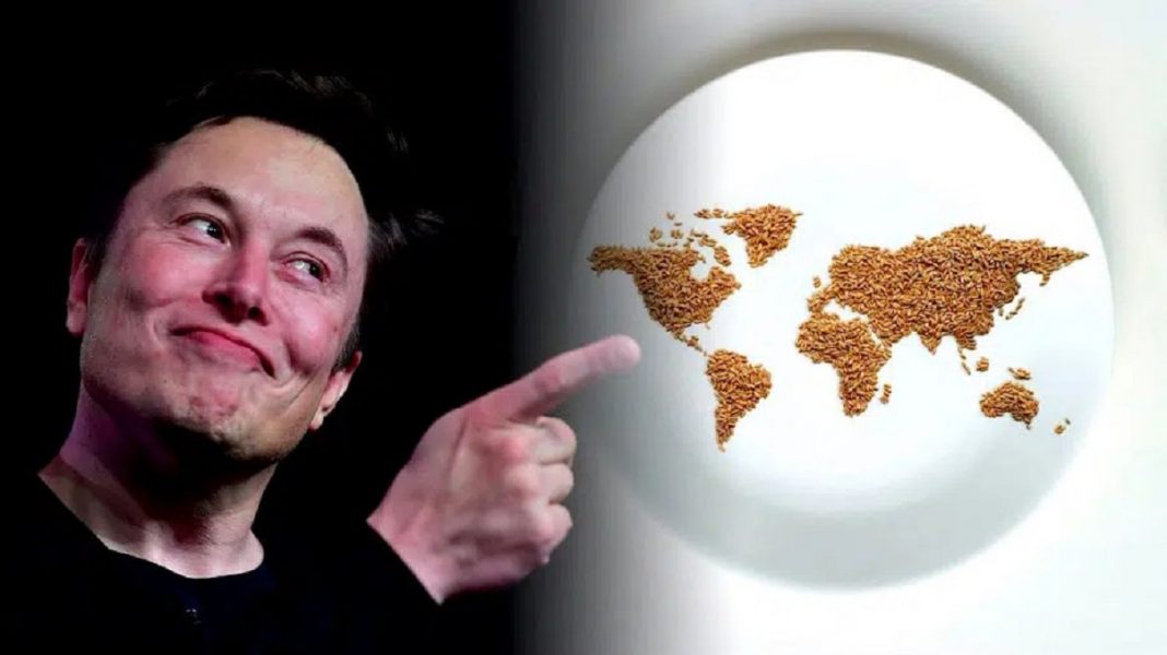 Nações Unidas responde à ‘provocação’ de Musk em relação ao combate à fome no mundo