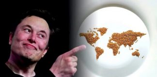 Nações Unidas responde à ‘provocação’ de Musk em relação ao combate à fome no mundo
