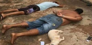 Cachorrinha também se “rendeu” quando seu dono “se entrega” à polícia