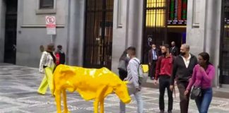 No lugar do touro, uma “vaca magra” amanheceu em frente à Bolsa de Valores de São Paulo