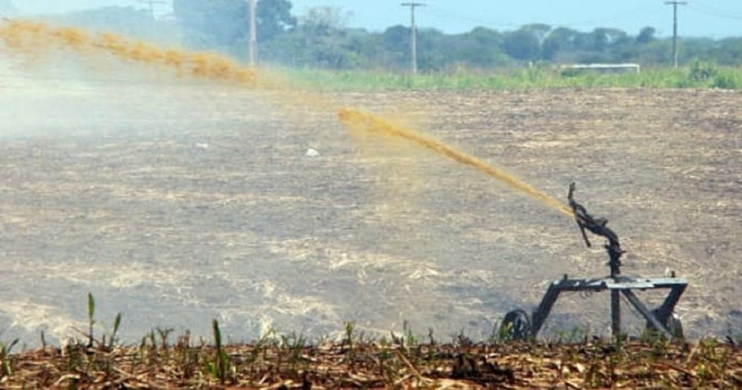 Tecnologia brasileira quer transformar resíduo da produção de etanol em hidrogênio verde