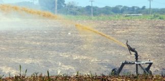Tecnologia brasileira quer transformar resíduo da produção de etanol em hidrogênio verde