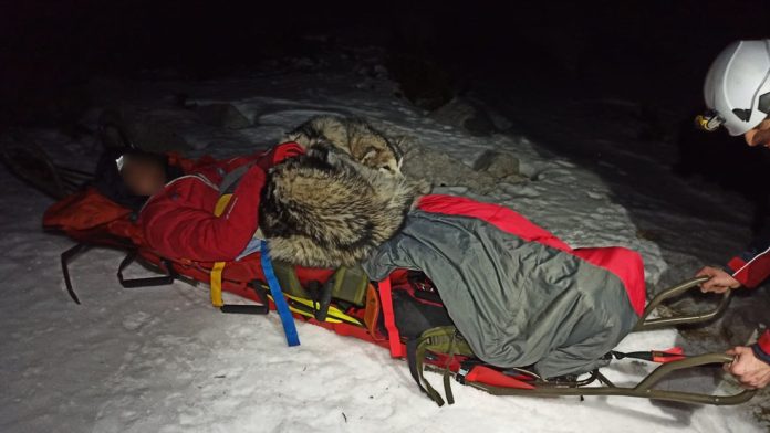 pensarcontemporaneo.com - Cão salva um alpinista ferido mantendo-o aquecido por 13 horas