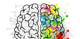 O seu cérebro é a fonte da alegria – as substâncias que fazem com que se sinta vivo