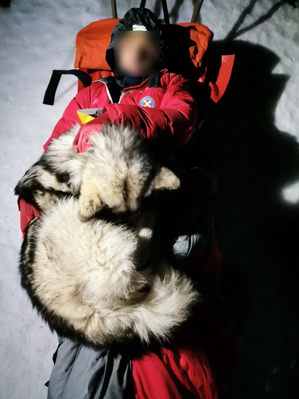 pensarcontemporaneo.com - Cão salva um alpinista ferido mantendo-o aquecido por 13 horas