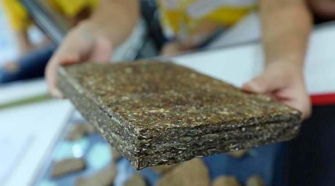 Estudantes brasileiras desenvolvem madeira sustentável a partir de resíduos de mandioca