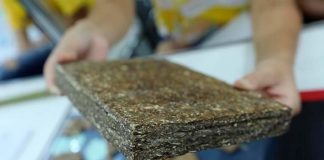 Estudantes brasileiras desenvolvem madeira sustentável a partir de resíduos de mandioca