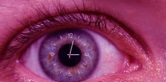 Nossos cérebros nos mantêm 15 segundos ‘no passado’ para nos ajudar a ver um mundo estável, diz estudo