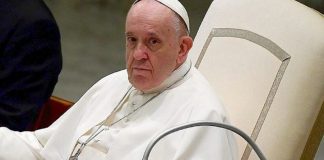 Papa lamenta que os animais de estimação “às vezes substituem as crianças”