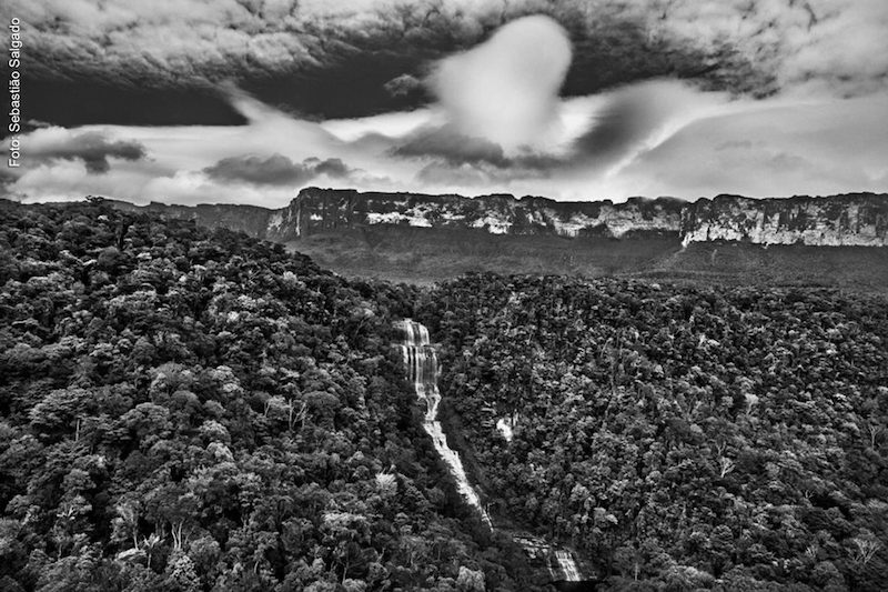 pensarcontemporaneo.com - Sebastião Salgado apresenta a Amazônia preservada e seus guardiões, em nova exposição