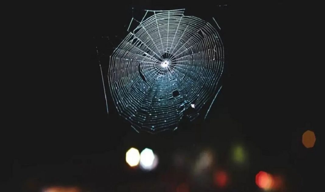 Cientistas traduziram uma teia de aranha em música, e é totalmente cativante
