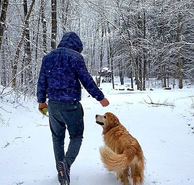 pensarcontemporaneo.com - Cidades brasileiras realizarão 'fusqueatas' com pets para homenagear Jesse e Shurastey