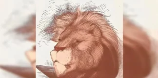 Desafio visual extremo: você consegue encontrar o homem escondido na face do leão em 10 segundos?