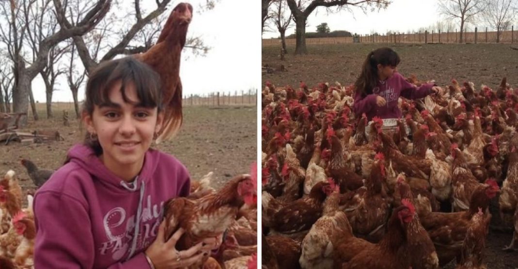 Aos 14 anos ela começou a criar galinhas e agora, passado um ano, já tem 800 aves e um “Império dos Ovos”