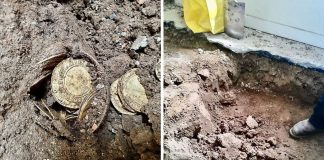 Casal encontra moedas antigas avaliadas em R$ 1,3 milhão escondidas no chão de sua casa