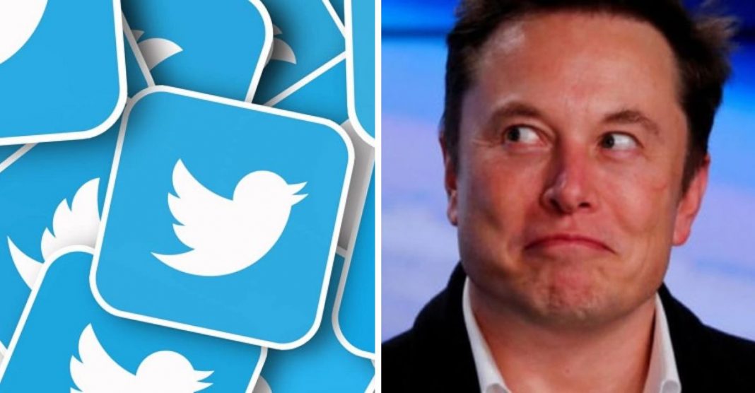 ‘O pássaro foi libertado’, diz Elon Musk após comprar Twitter e demitir seus diretores