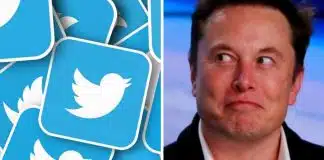 ‘O pássaro foi libertado’, diz Elon Musk após comprar Twitter e demitir seus diretores