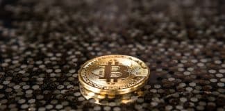 Conheça Startups Europeias que Estão Usando Blockchain para Mudar o Planeta