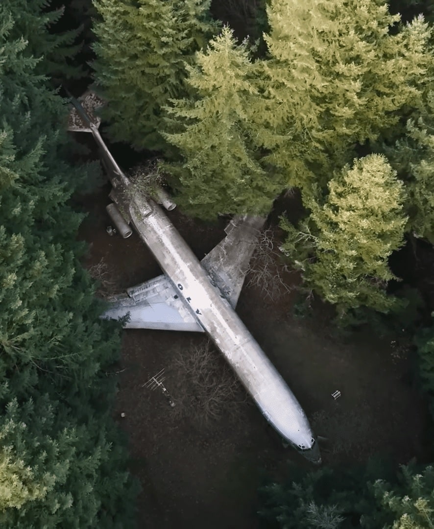 pensarcontemporaneo.com - Engenheiro eletricista transforma avião abandonado em sua casa no meio da floresta