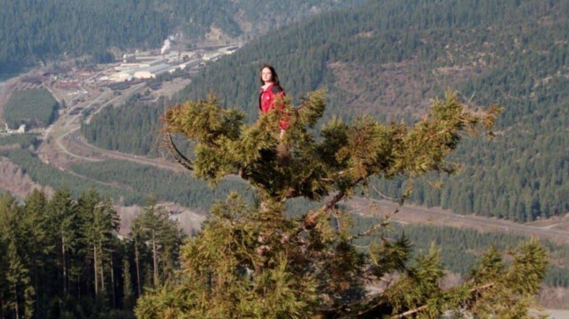 pensarcontemporaneo.com - A incrível história da garota que viveu 738 dias em cima de uma árvore