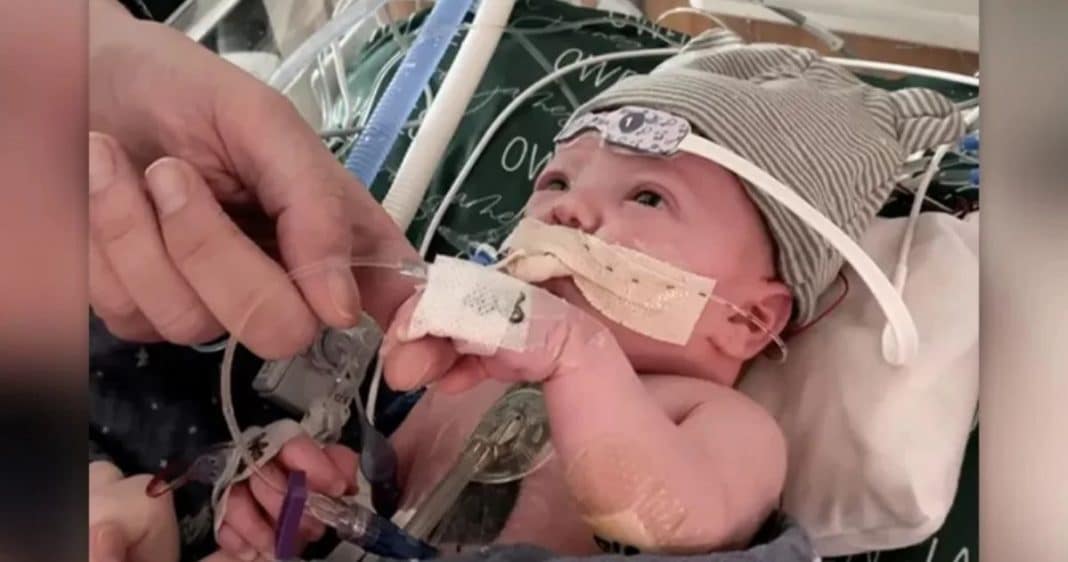 Bebê que recebeu 1º transplante de coração do tipo no mundo segue bem um ano após cirurgia